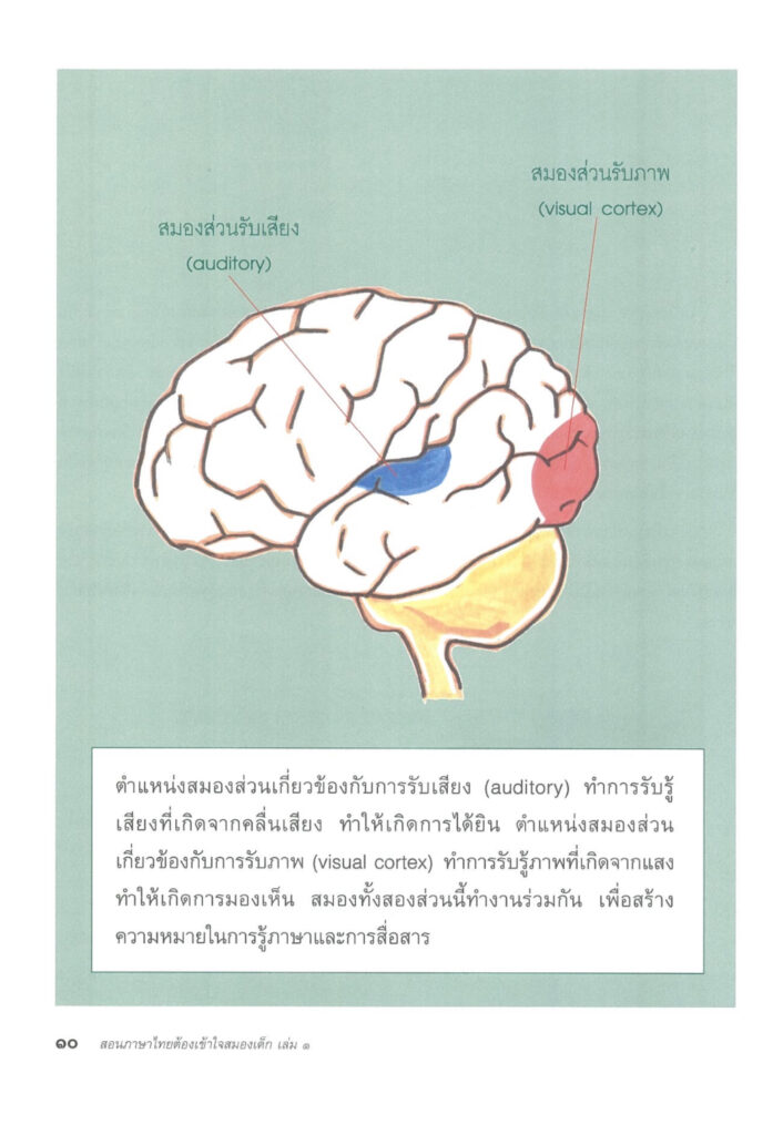 แจกไฟล์ สอนภาษาไทย ต้องเข้าใจสมองเด็ก เล่ม ๑ (ป.๑-ป.๓) โดย พรพิไล เลิศวิชา